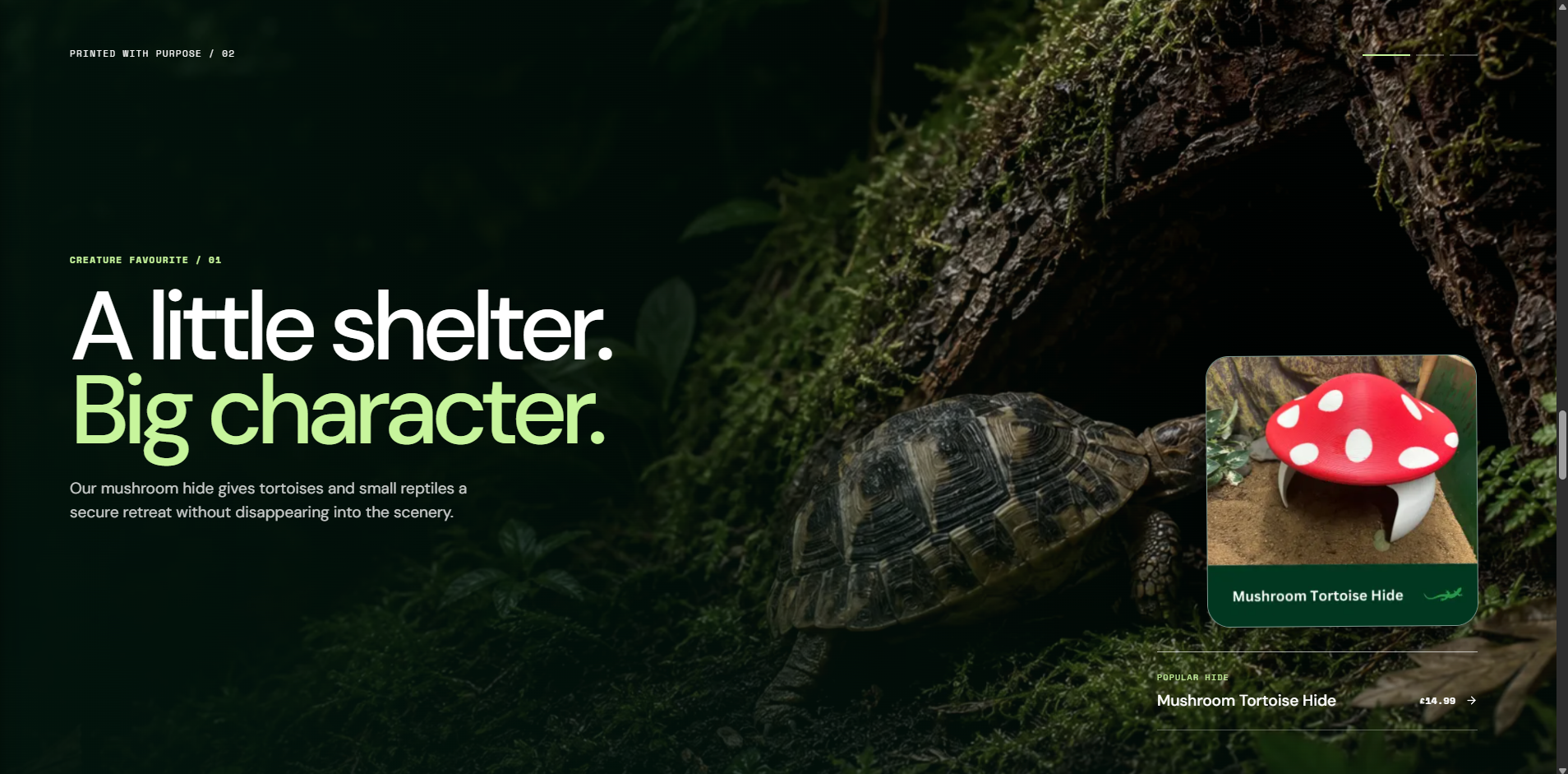 Cinematic featured section for the mushroom tortoise hide